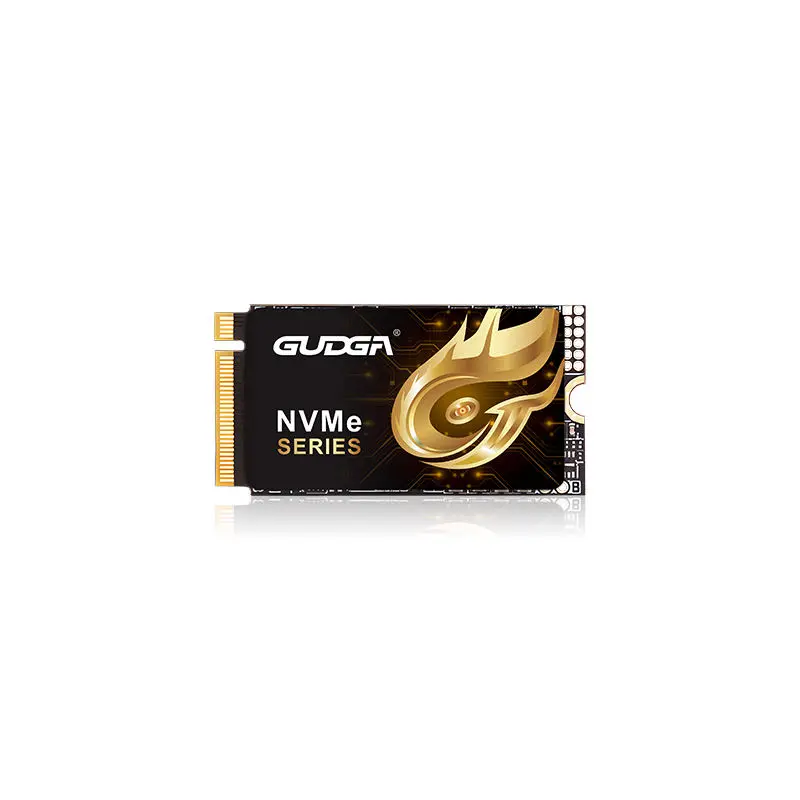 2242 Längd PCIE 4.0 NVMe SSD 7000MB/s