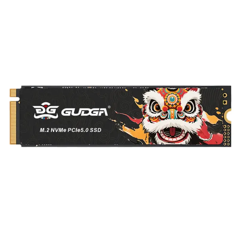 Höghastighets NVME PICE 5.0 14500/10000 intern SSD