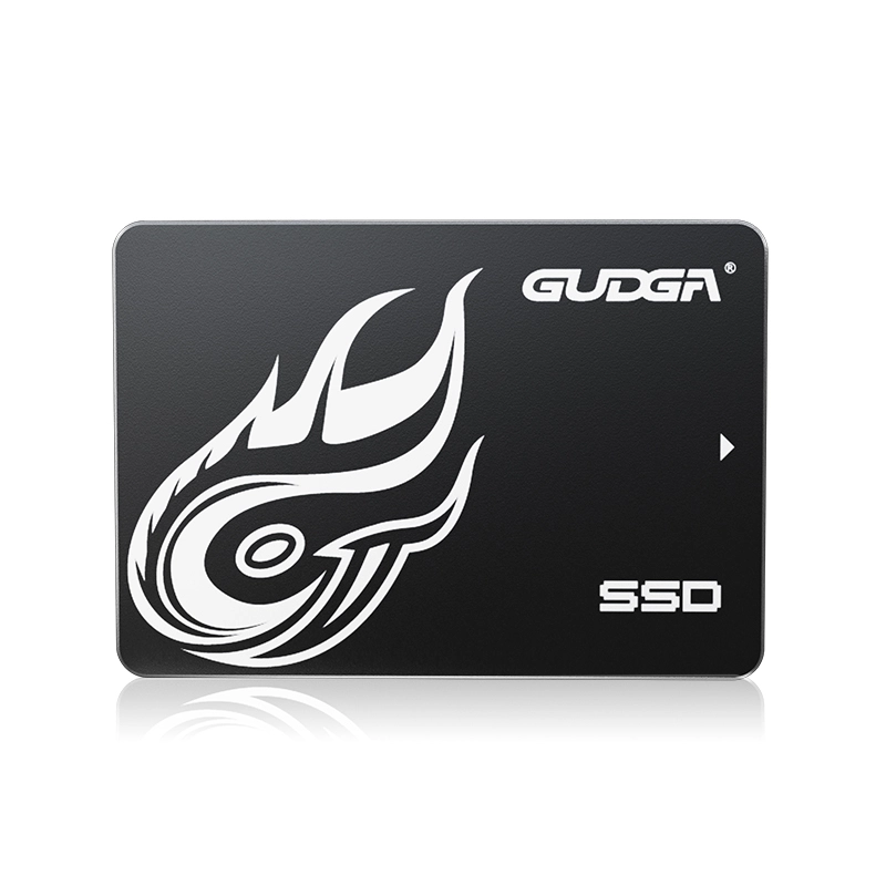 Höghastighets SATA SSD