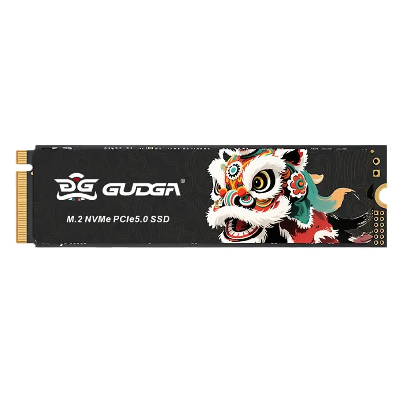 Intern Solid State Drive för bärbar dator och stationär dator